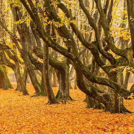 Palac Siemczyno Exteriér fotografie